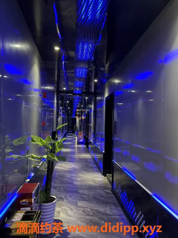 广州spa会所-白云石井百达国际，339元畅享情趣调情服务