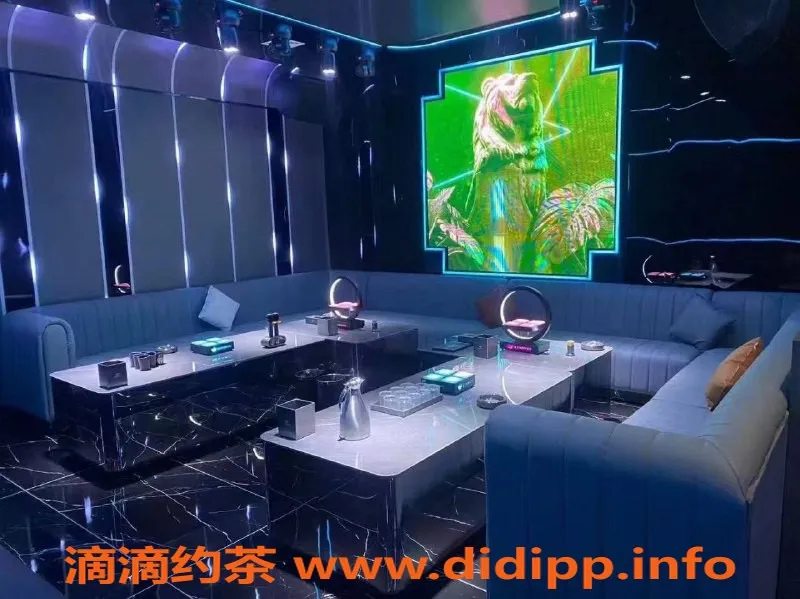 南宁楼凤-西乡塘区麗晶汇KTV越南风情陪玩，真空800