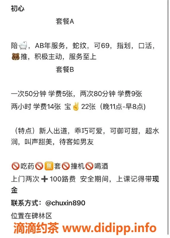 西安楼凤-碑林初心，9分服务，5p特惠体验！