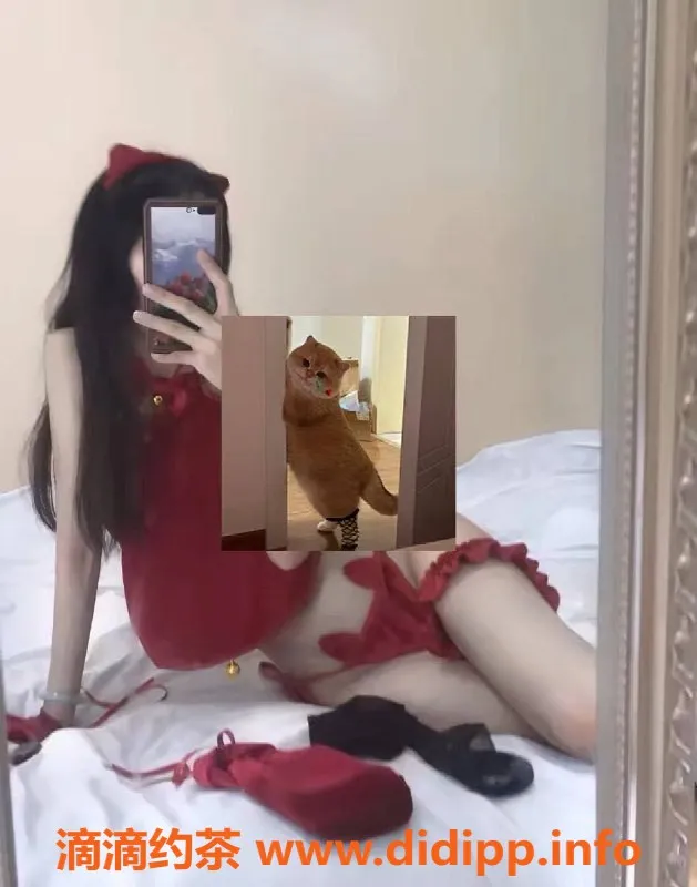 深圳楼凤-南山捧猫少女，尽享温柔服务