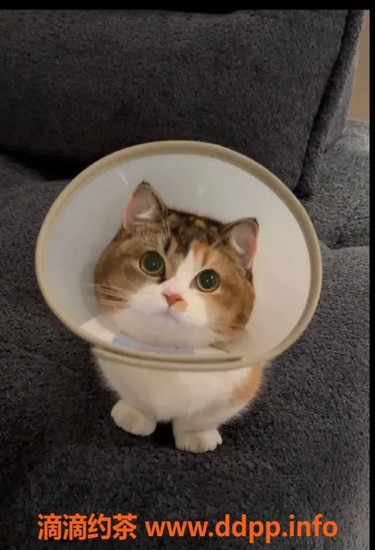 深圳楼凤资源信息,南山小仙女，绝佳享受，私密服务等你来体验