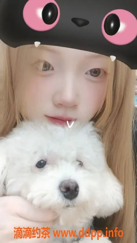 沈阳楼凤资源信息,沈阳小白老师，800起，优质服务，超好评！