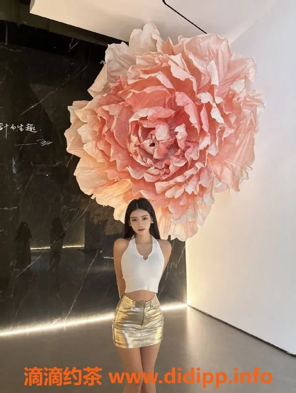 广州楼凤-天河王可儿，独特体验，课费800p起