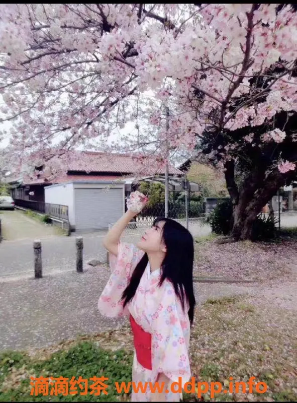 深圳楼凤资源信息,深圳南山新人日本妹，1288元起