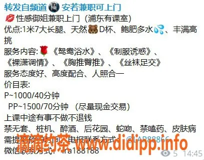 上海楼凤-浦东安若，百元体验，享受优质服务！