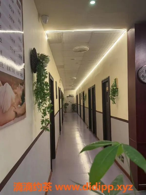 福州spa会所-同安95会所，优质服务，尽在体验！