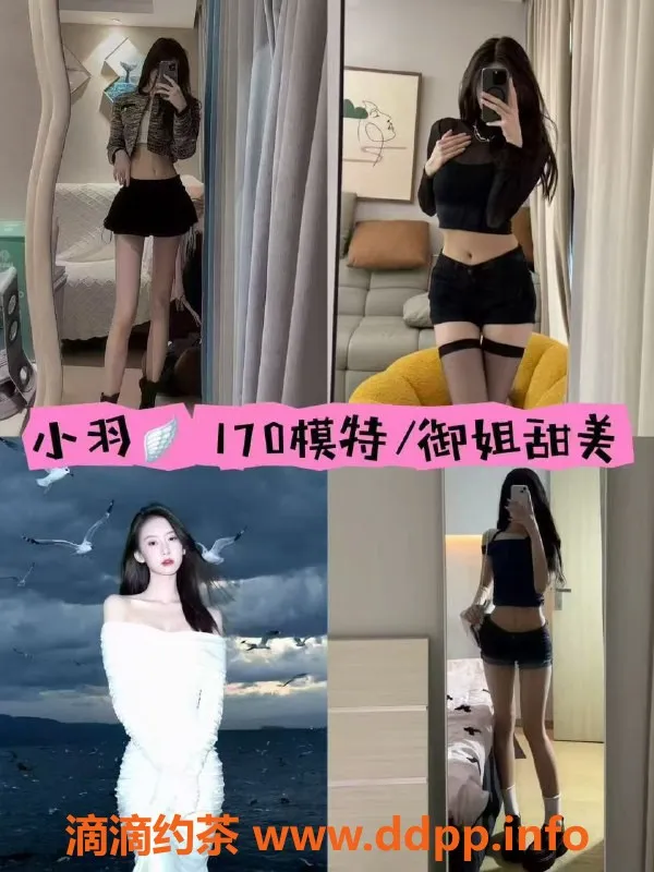 杭州女仆店-余杭金家渡魅影女仆服务，1小时仅600