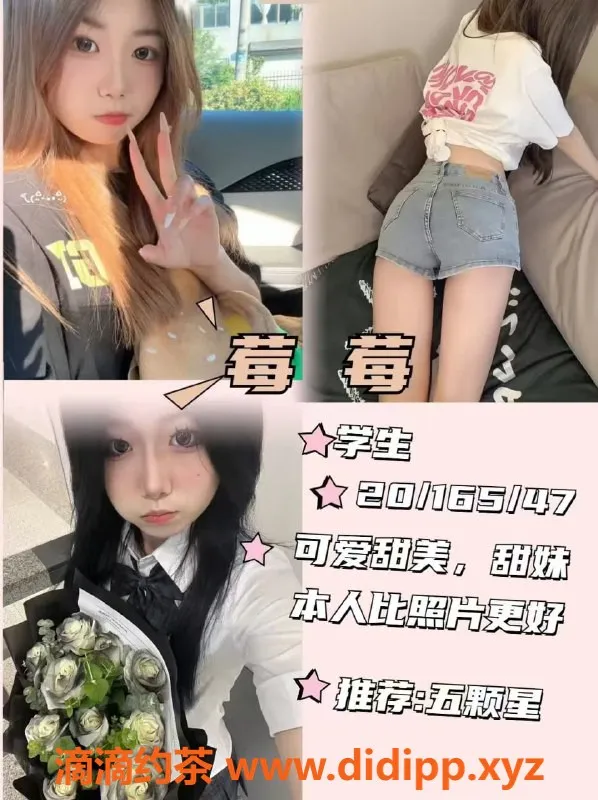 杭州女仆店资源信息,西湖区星有野女仆大班 1小时仅600元