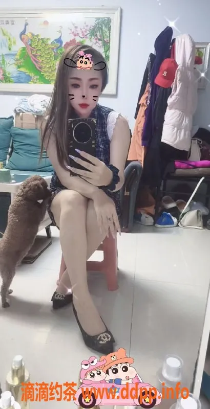 沈阳楼凤资源信息,沈河小欠，甜美女生，私密服务等你体验