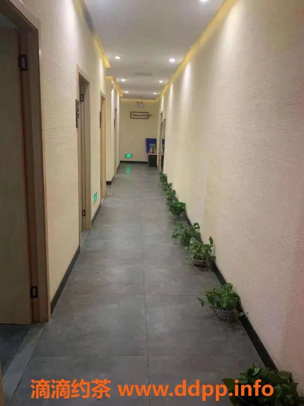 上海spa会所-虹口高颜值SPA，提供优质服务，扶墙而入出