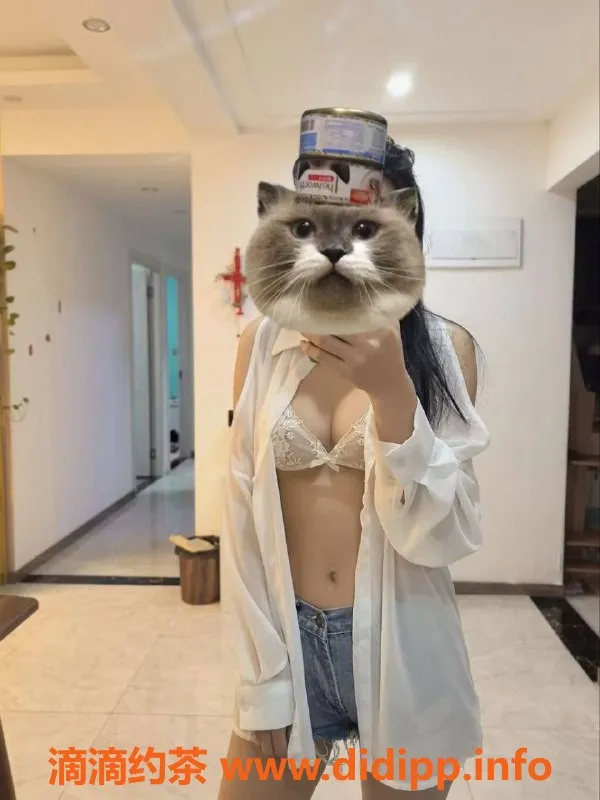 嘉兴楼凤-嘉善县小可乐，年轻活力选择