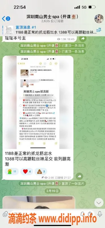 深圳抓龙筋资源信息,南山瑶瑶，1388抓龙筋，真实验证