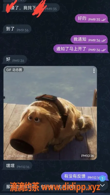 烟台楼凤资源信息,芝罘区魅魔，熟悉的服务与魅力