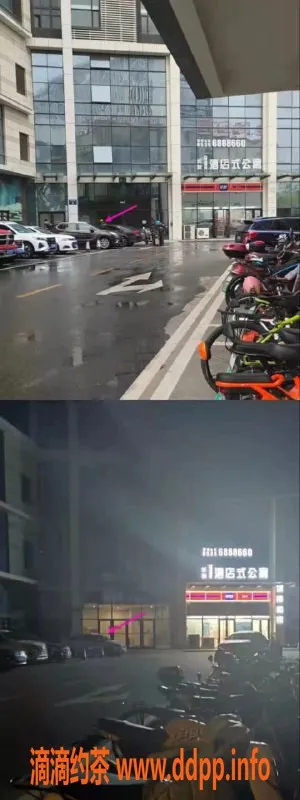 烟台楼凤资源信息,烟台长安一号b座 大x 服务优质