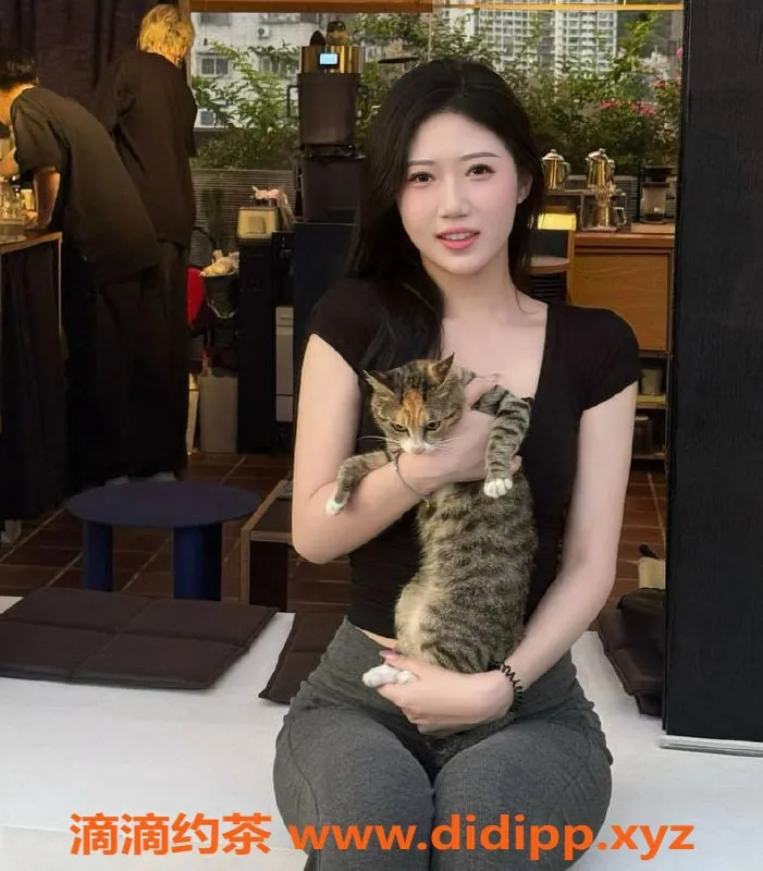 深圳楼凤资源信息,上海静安小泡芙，超值服务等你来体验