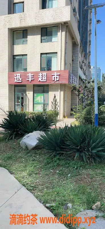 烟台楼凤-橡树湾少妇，成熟迷人，价格优惠