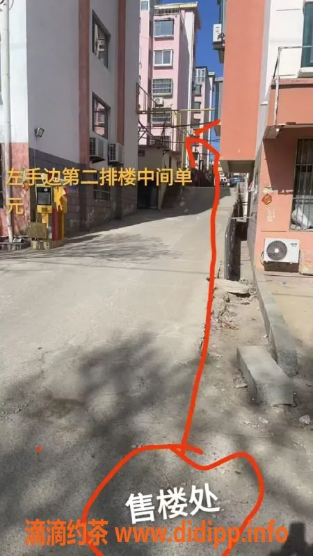 烟台楼凤-栖霞林丹丹，服务优质，体验一流