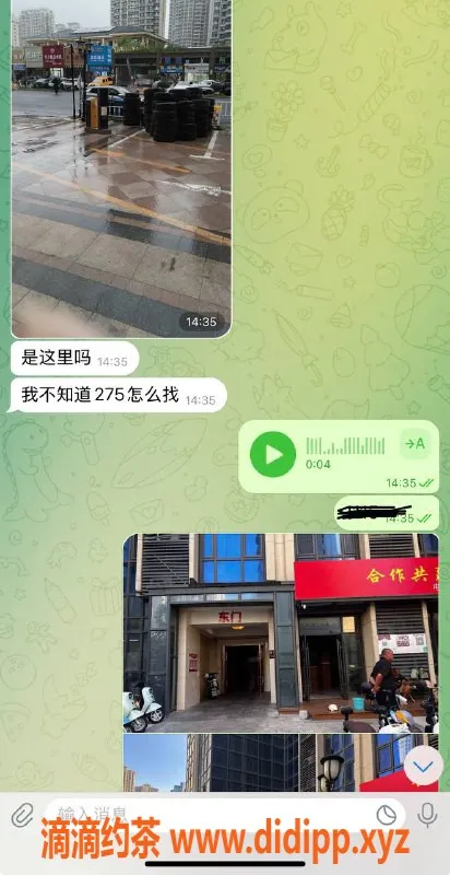 烟台楼凤资源信息,威海恒大275公寓 小浪蹄子服务推荐