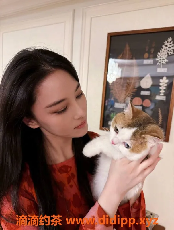 潍坊楼凤-潍坊奎文区张馨予神似尤物 172高C杯