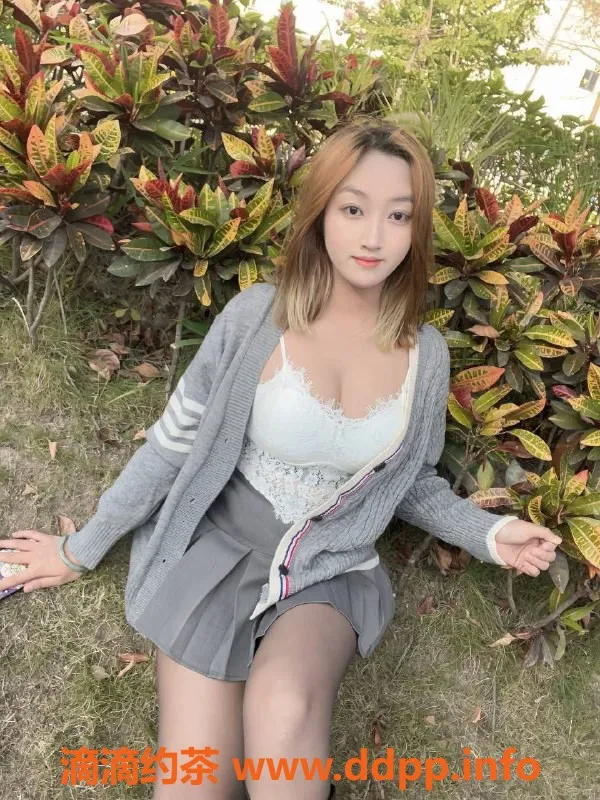 湛江楼凤-栗子，五十斤，青春活力，优质服务！