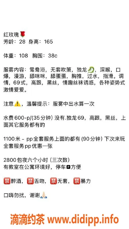 湛江楼凤资源信息,红玫瑰 - 性感迷人，价格实惠