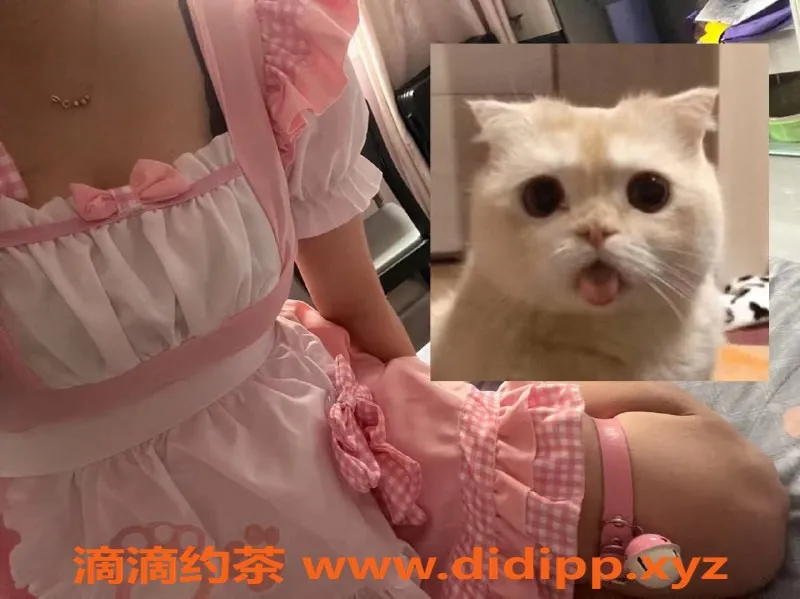 西安楼凤资源信息,西安小锦：18岁，167cm，36D，6p服务等你来体验！