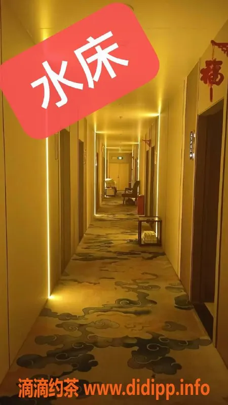 中山楼凤资源信息,南屏红牌40+美女，随心选择