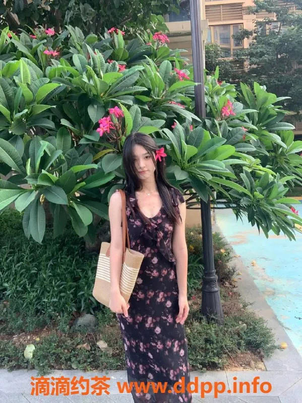 湛江楼凤资源信息,酥酥，性感诱惑，身材火辣，价格亲民