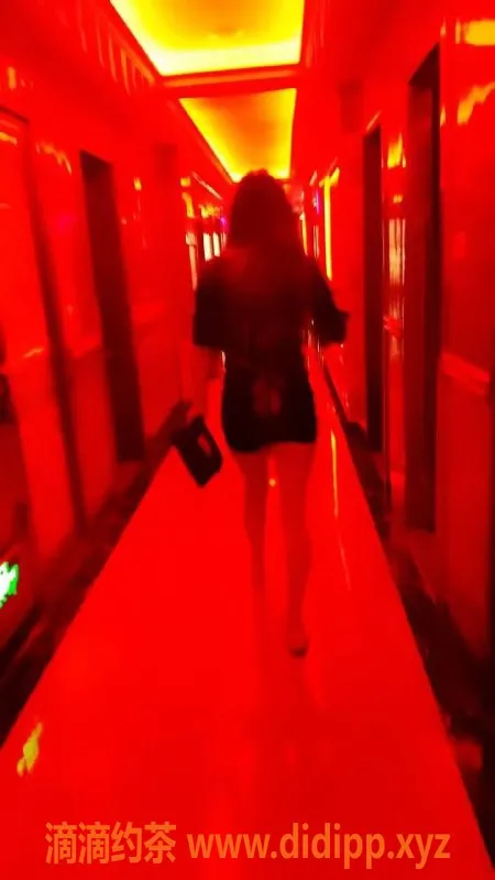 中山楼凤-拱北夏湾优质服务推荐，满足你的需求