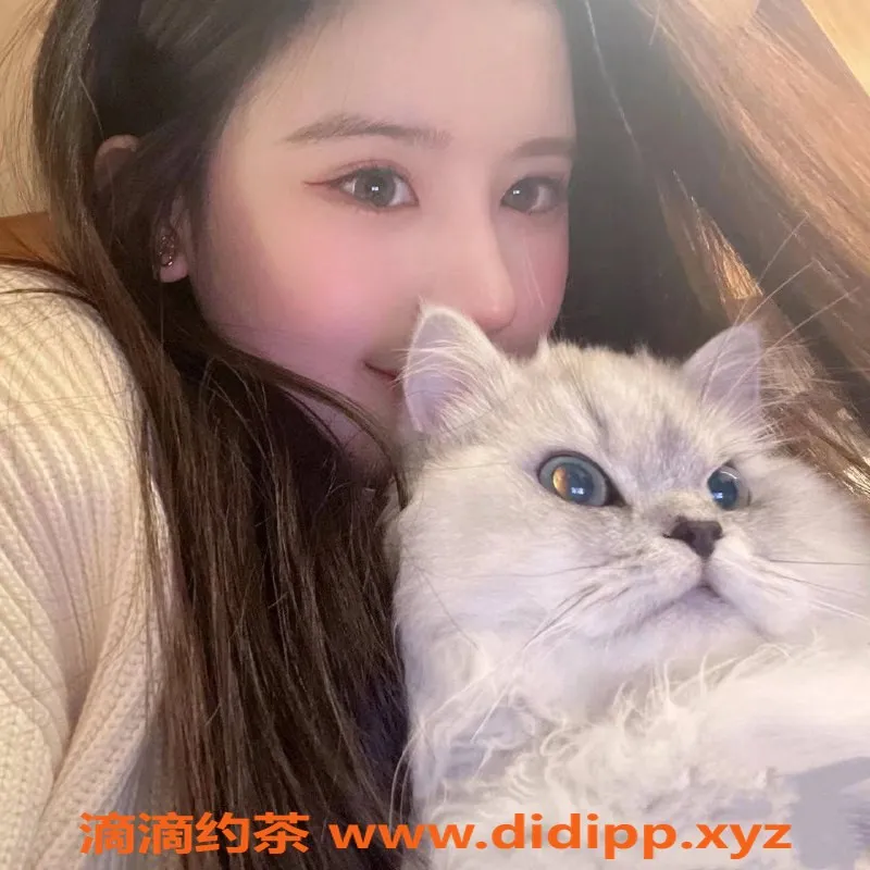 南通楼凤资源信息,晚晚，20岁161cm身高，C罩杯性感美女