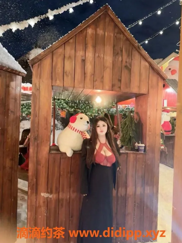 湛江上门服务-湛江小宝，160cm，胸围40J，600元体验