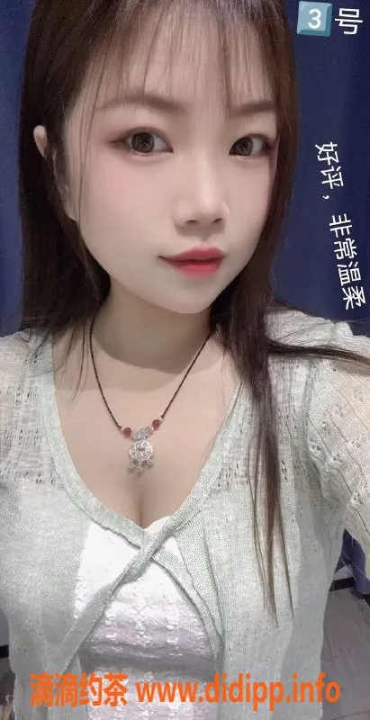 中山楼凤资源信息,中山古镇双人快餐体验，340元起