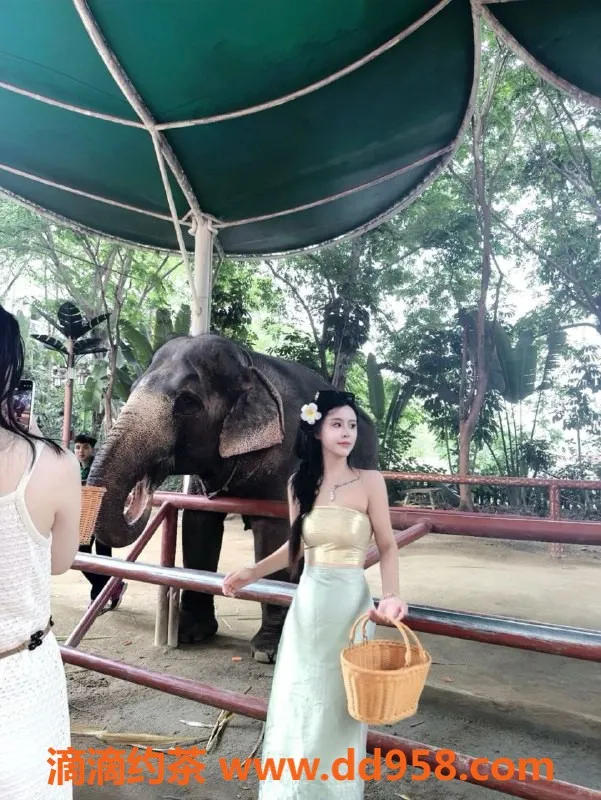 无锡楼凤-无锡奶迪迪，1000P畅享热情服务