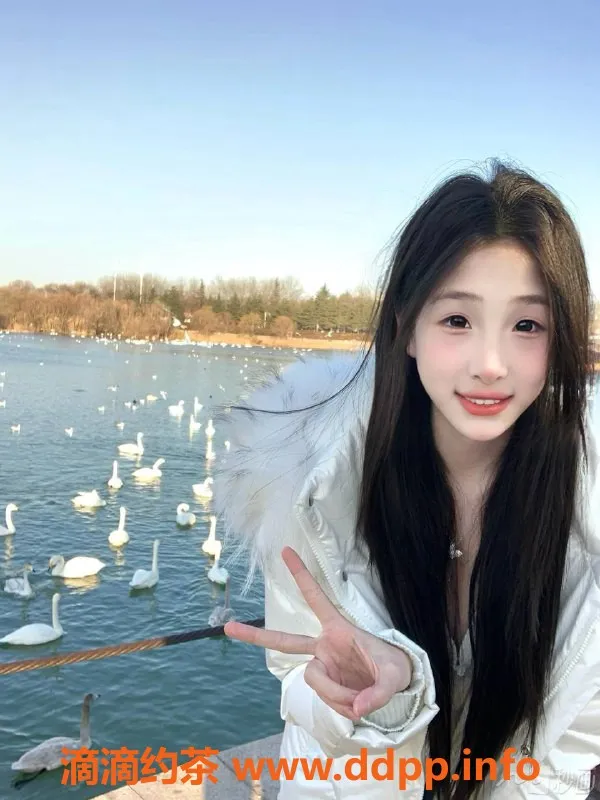 惠州上门服务资源信息,仲恺羊洋洋，160身材，暖心服务仅500