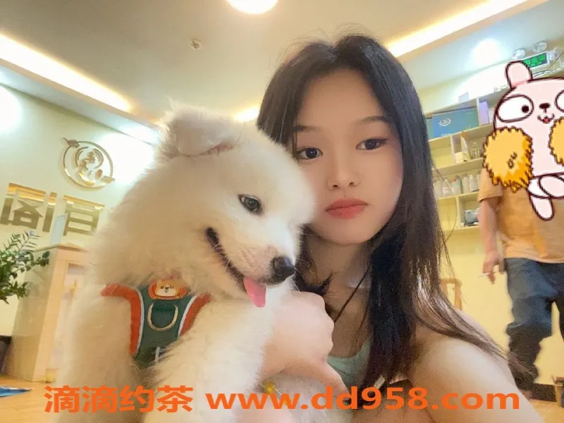 惠州抓龙筋资源信息,仲恺莎莎，162身高C罩杯，专业保养仅需700