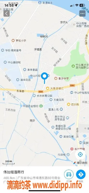 中山楼凤-中山阜沙3位美妞洗吹做服务，价格实惠