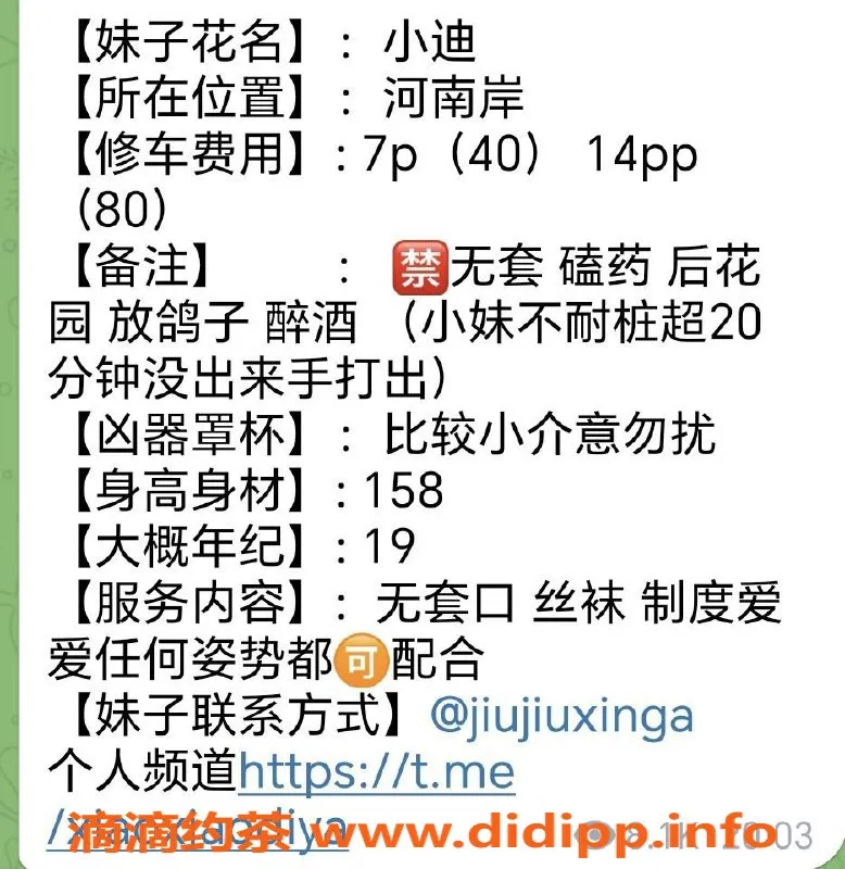 惠州楼凤-河南岸小迪，7P14PP，优质服务等你来体验