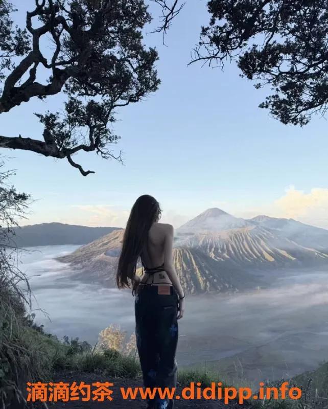 无锡楼凤-滨湖旺旺雪饼，A套餐1200，B套餐2200