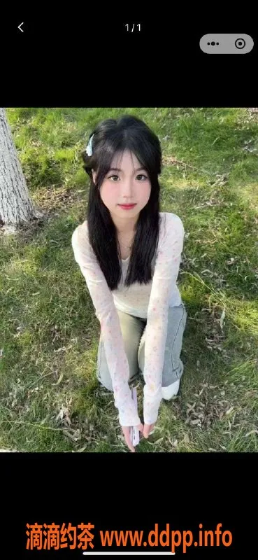 中山楼凤-板芙优质服务，350快餐超值体验