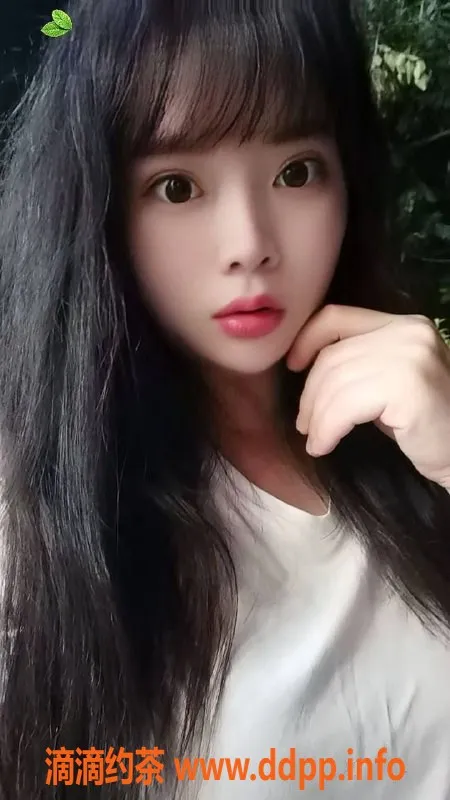 中山楼凤-中山三角地区优质高端服务，快餐仅300元！