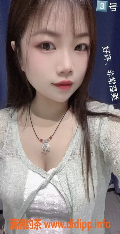 中山楼凤-中山古镇两位小姐，快餐350起，洗吹450