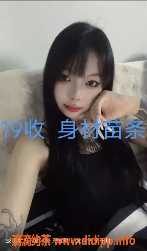 中山楼凤资源信息,中山小榄双人快餐，350元起