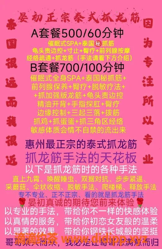 惠州抓龙筋-河南岸晏初，27岁全身SPA服务等你体验