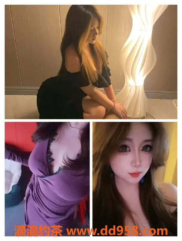 沈阳女仆店资源信息,情艺女仆店体验评价揭秘