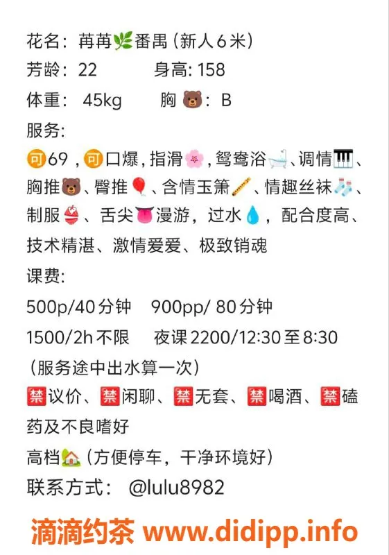 广州楼凤-番禺冉冉，已验证，500元超值体验