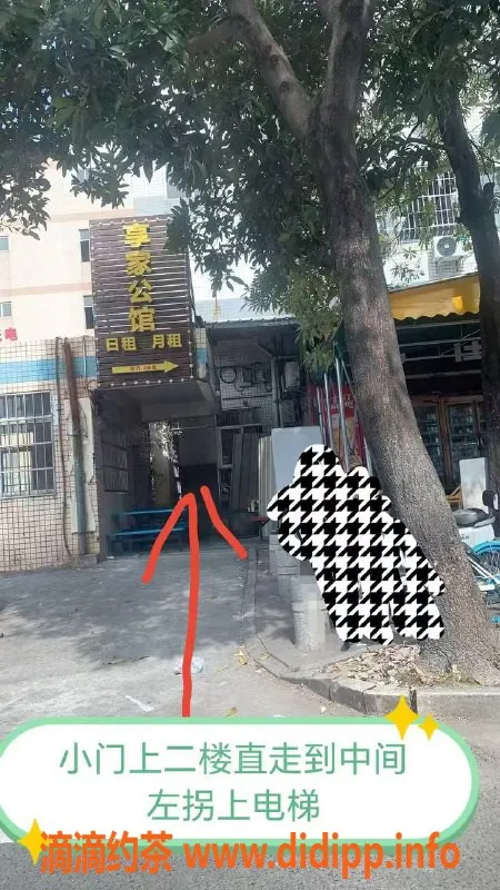 中山楼凤资源信息,江海大波美女，快餐仅300，洗吹做只需400