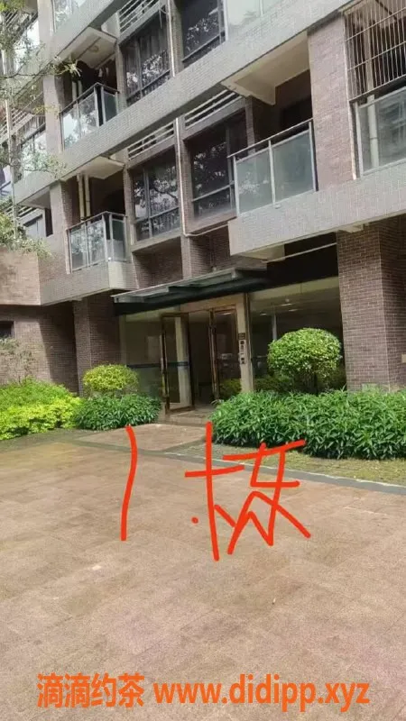 中山楼凤资源信息,板芙新晋美女 300元快餐服务超值体验