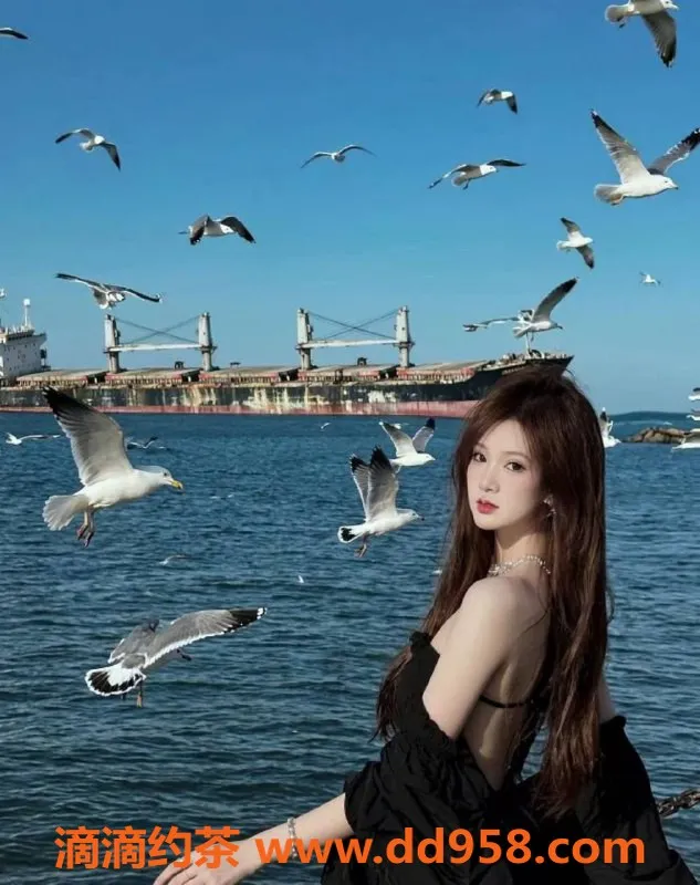 沈阳楼凤-小七，身材出众，服务超赞，800元体验