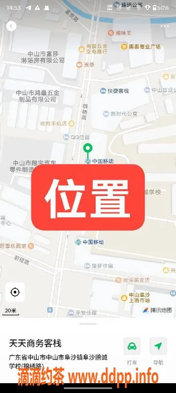 中山楼凤-中山阜沙新鲜极品 300快餐体验