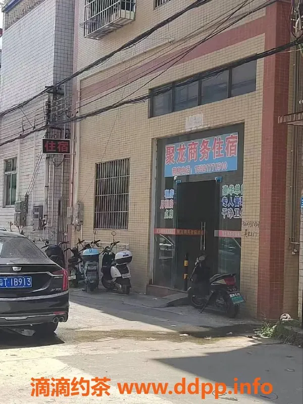 中山楼凤-中山沙溪快餐300元，服务超赞！